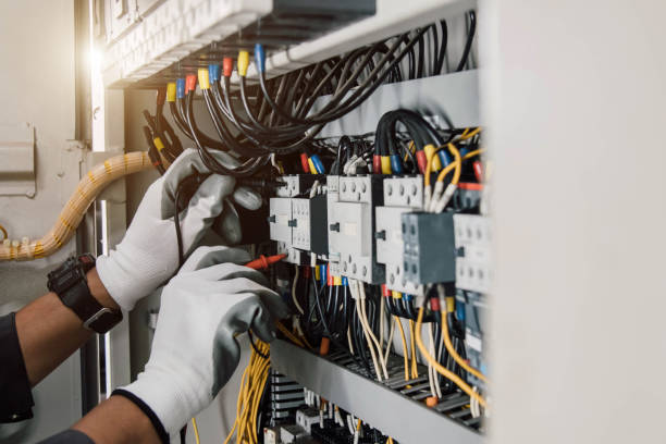 Best Ceiling Fan Installation Electrician  in Lemon Grove, CA